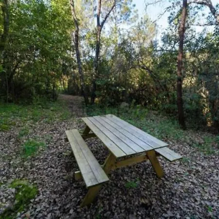 Quinta Boa Vida ヴィラ *