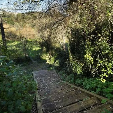 ヴィラ Quinta Boa Vida *