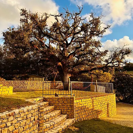 ヴィラ Quinta Boa Vida