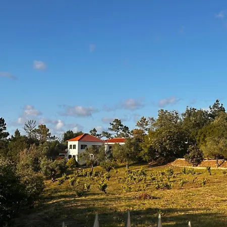 Quinta Boa Vida Villa *