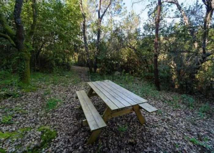 Quinta Boa Vida Villa *